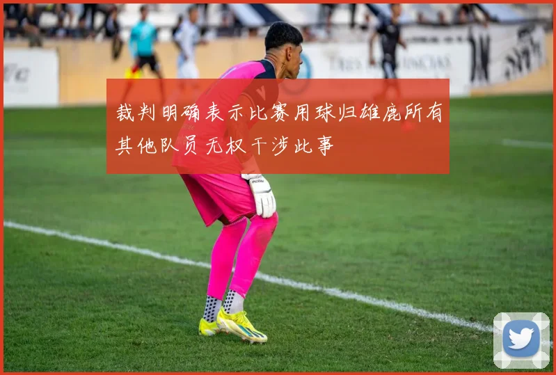 裁判明确表示比赛用球归雄鹿所有其他队员无权干涉此事