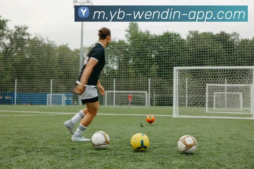 问鼎娱乐平台生态图